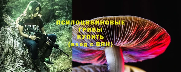 амф Заводоуковск