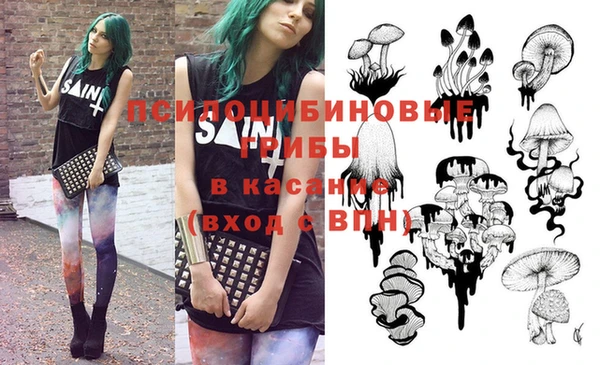 ГАЛЛЮЦИНОГЕННЫЕ ГРИБЫ Зерноград