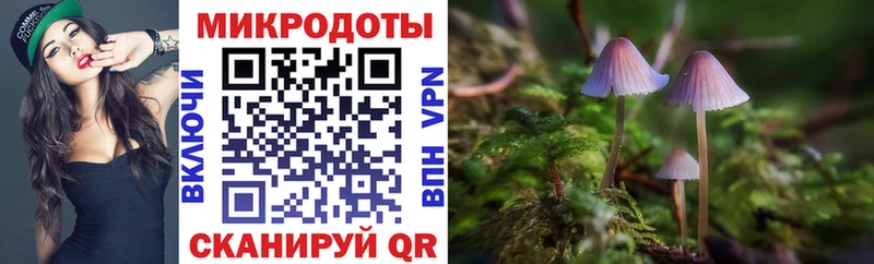 Купить  Коряжма  Псилоцибиновые грибы мухоморы 